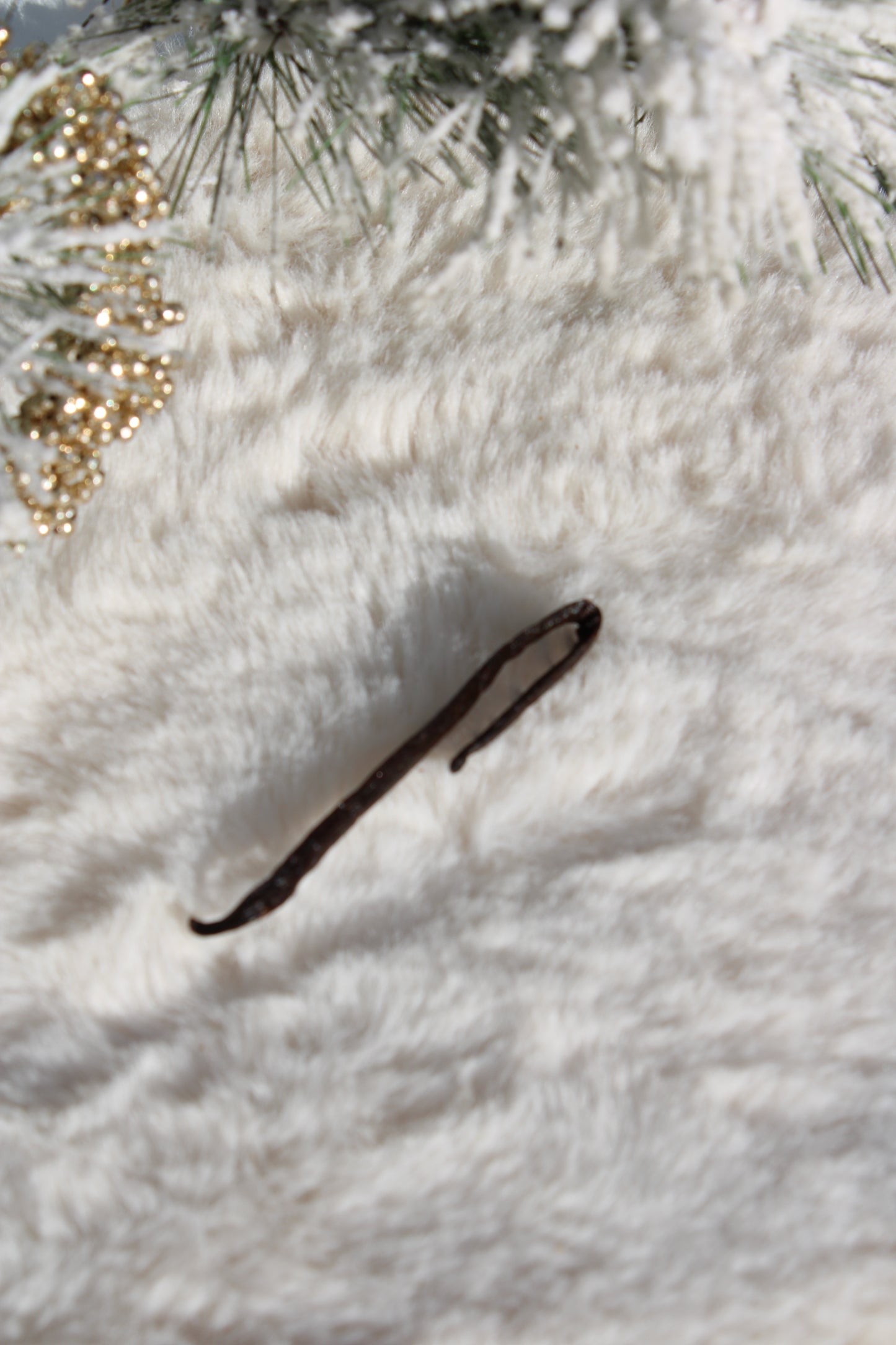 Vanille épicée - Heaven Bells - Collection Hiver